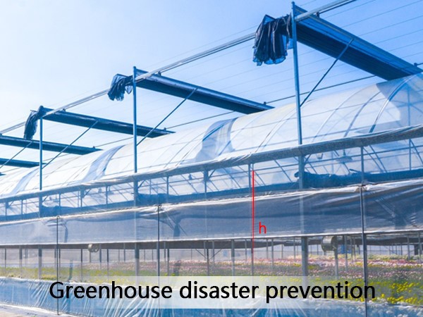 Greenhouse disaster prevention module